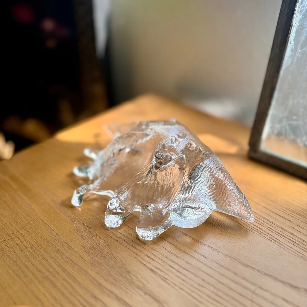 Vintage Clear Glass Conch Shell Catchall Dish – Coastal Trinket Bowl
